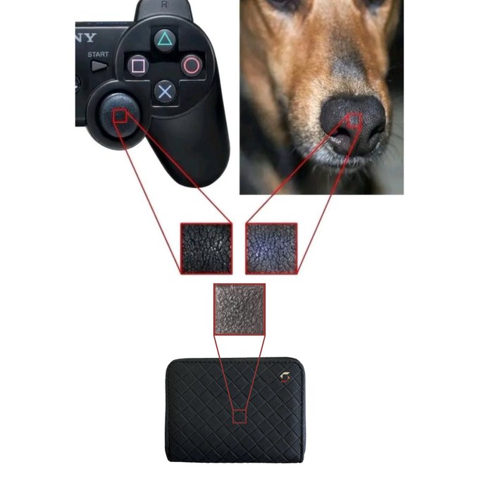 A PlayStation controller, a dog's nose, and a textured black wallet are zoomed in to reveal the same pebbled, dimpled surface pattern—suggesting that "wrong answers only" might point to them all sharing an oddly identical nose-like texture.