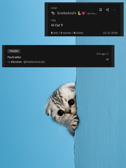 A cute kitten peeks out from behind a blue wall, with overlaid text showing an NFT transfer from PaulinaRez of "AI Cat 11" by artist Sneketoshi, dated July 27, 2026, with 5 editions.