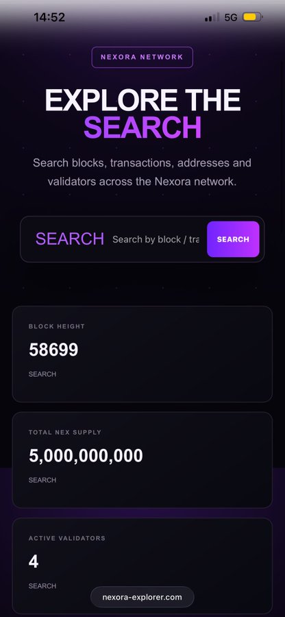 A mobile screenshot of the Nexora Network explorer page featuring a dark starry background, the headline 'EXPLORE THE SEARCH,' a search bar, and stat cards showing Block Height 58699, Total NEX Supply 5,000,000,000, and 4 Active Validators.