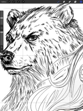 A black-and-white sketch of a bear's head, drawn within the Sketchbook app interface (with "Gallery" visible in the top left), visually reinforces the post's "bull or bear" theme by symbolizing resilience in the face of market fears.