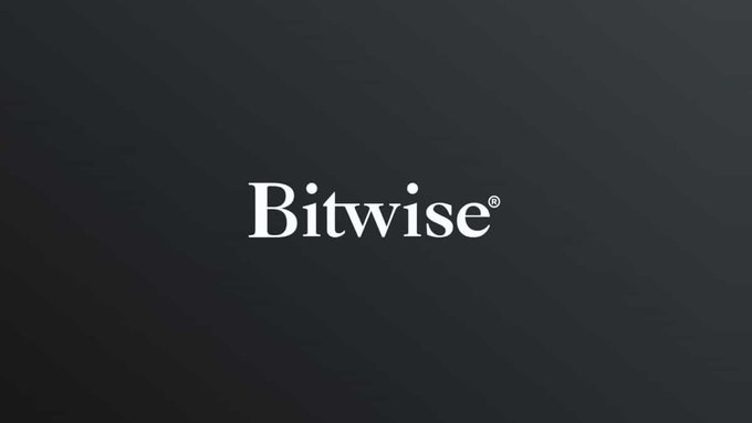 The Bitwise logo displayed in white serif text on a dark gray background.