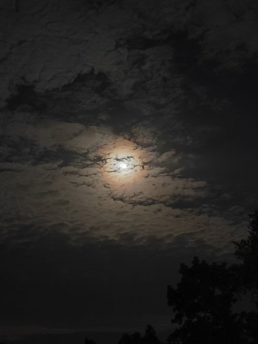 A nighttime photograph of the moon glowing through scattered clouds, with dark silhouettes of trees visible in the lower right corner.