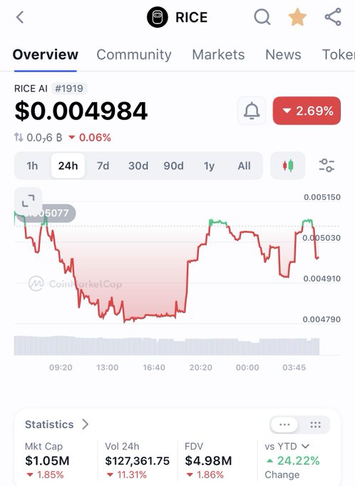 A CoinMarketCap mobile screenshot displays the RICE AI token (#1919) priced at $0.004984, down 2.69%, with a 24-hour price chart and market cap of $1.05M.