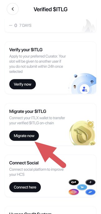 A mobile app screen titled "Verified $ITLG" showing three sections: "Verify your $ITLG," "Migrate your $ITLG," and "Connect Social," with a red arrow pointing to the "Migrate now" button under the migration section. The image directly illustrates the post's instruction to check the "Migrate your $ITLG" section status for users who have completed KYC.