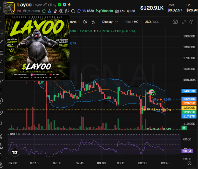 A TradingView chart for $Layoo (ticker 6Hjv...pump) is shown at a price of $120.91K with an RSI of 36.54, displaying candlestick price action and key holder labels including King, 70 Holders, Top Buy, and PoorGoat which correspond to the on-chain holder data detailed in the accompanying post.