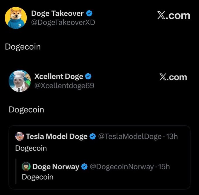 A screenshot shows multiple Twitter/X posts with accounts like 'Doge Takeover' (@DogeTakeoverXD) and 'Xcellent Doge' (@Xcellentdoge69) all simply posting 'Dogecoin'.