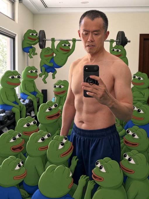 A shirtless Asian man takes a mirror selfie with his phone in what appears to be a gym or locker room, surrounded by numerous superimposed cartoon Pepe the Frog characters, some lifting a barbell.