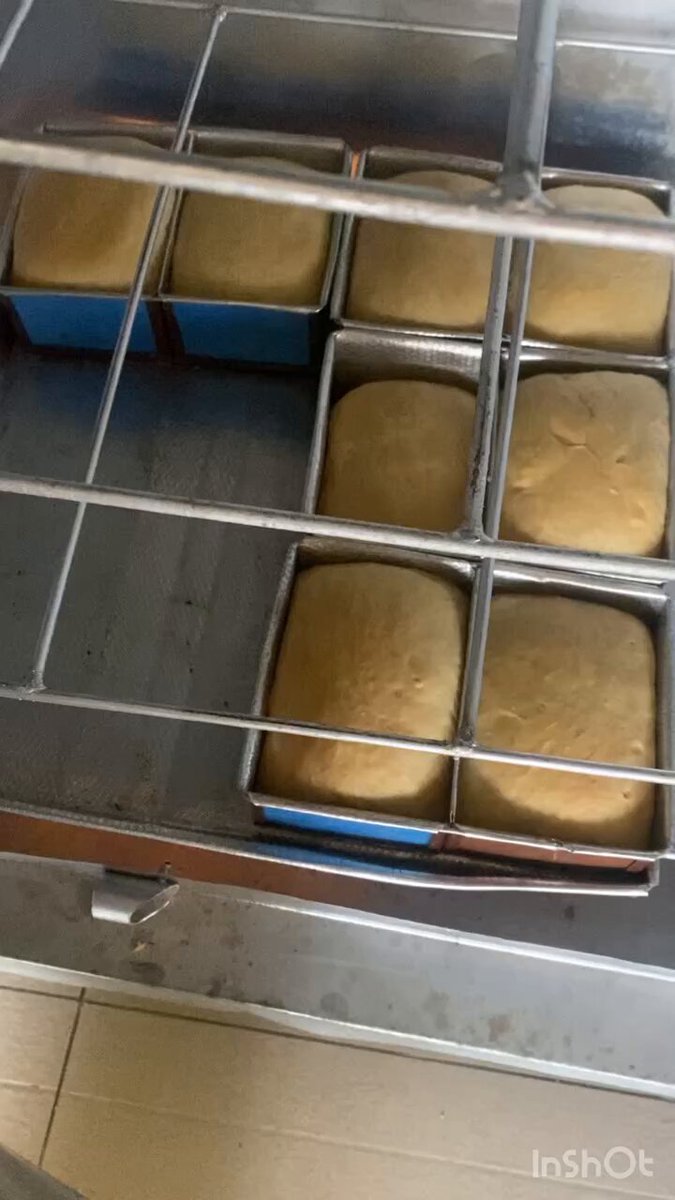 The image shows a tray filled with six square bread loaves, each one cut into perfect squares, placed inside an oven. The oven has a metal rack that holds these bread loaves, indicating they are being baked for a special occasion or event. The photo is taken from a low angle, making the bread loaves appear larger and more prominent in the frame.