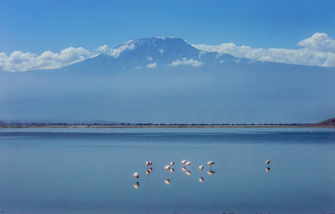 A serene landscape featuring a group of pink flamingos standing in shallow blue water, with a majestic snow-capped mountain rising in the background beneath a partly cloudy sky.