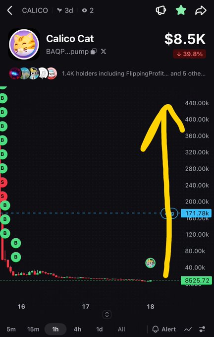 A screenshot of the Calico Cat (CAQP...pump) token chart on a trading platform shows an $8.5K market cap with a 39.8% decline, despite a dramatic price spike from ~$8.5K to ~$440K before retracing to $171.78K, illustrating the volatile "pump" referenced in the post urging followers to buy at the current low market cap.