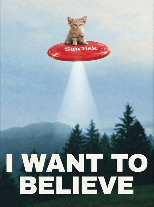 A meme-style image showing a kitten riding a red SanDisk frisbee that beams light down from a sky above a forest, with the text 'I WANT TO BELIEVE' displayed prominently.