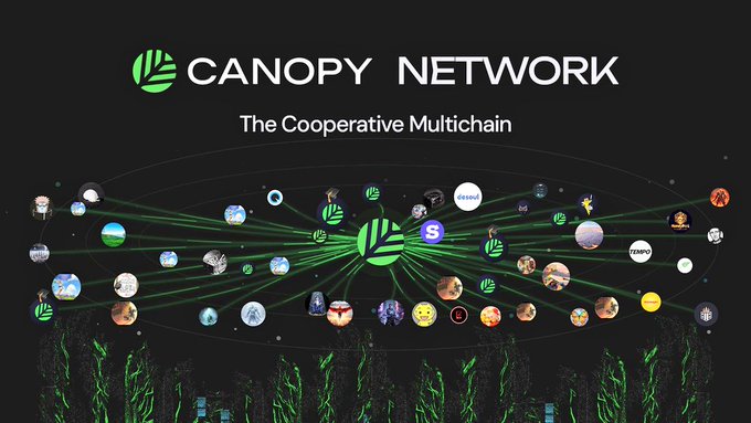 Black promotional graphic for 'CANOPY NETWORK' subtitled 'The Cooperative Multichain', featuring a network visualization with green connecting lines between various cryptocurrency and project logos.