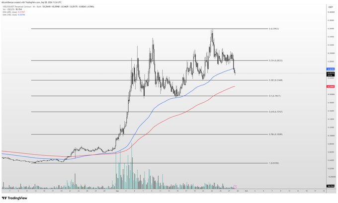 A TradingView daily candlestick chart of USELESS/USDT showing the price declining from around $0.36 toward the 0.236 Fibonacci retracement level near $0.296, with the 50 EMA (blue) and 200 EMA (red) both sloping upward, illustrating the poster's concern about their underwater long position and potential support zones at $0.195 and $0.16.