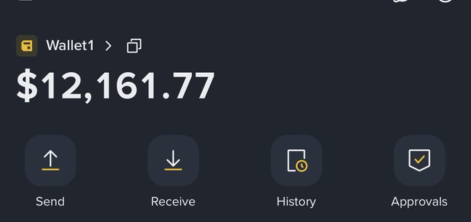 A cryptocurrency wallet labeled "Wallet1" displays a balance of $12,161.77 with options for Send, Receive, History, and Approvals. The image appears to support the post's claim of having "stimmy" funds available to invest in meme tokens on the $BREW ecosystem, showing the wallet balance ready for transactions.