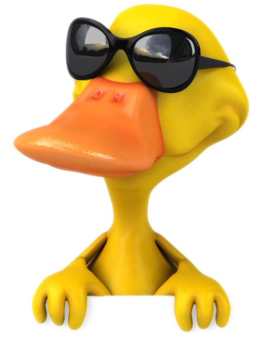 A 3D-rendered yellow rubber duck wearing oversized black sunglasses, peering over a white blank sign with its webbed feet.