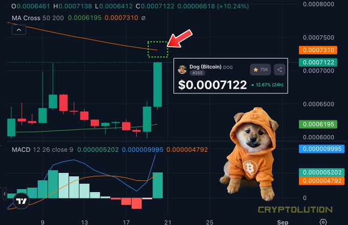 A candlestick chart of Dog (Bitcoin) DOG showing a price of $0.0007122 (+12.67%) with an MA Cross indicator highlighting the price approaching the 200-day moving average (orange line at 0.0007310), accompanied by a Shiba Inu dog mascot wearing an orange Bitcoin hoodie. The post suggests DOG is on the verge of crossing its 200-day MA at a $73 million market cap within 24 hours.