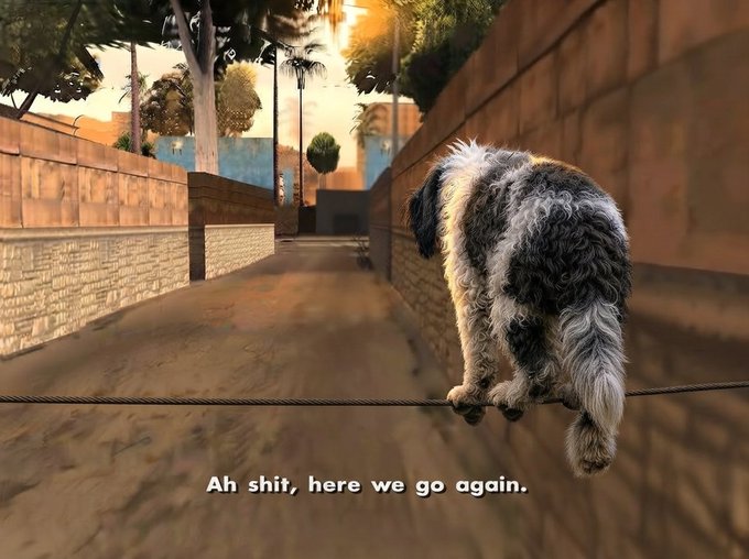 A small black and white dog balances precariously on a tightrope in an alleyway, with the caption "Ah shit, here we go again." The image humorously relates to the post about trading $DOW, depicting the precarious balancing act of navigating the market day after day.