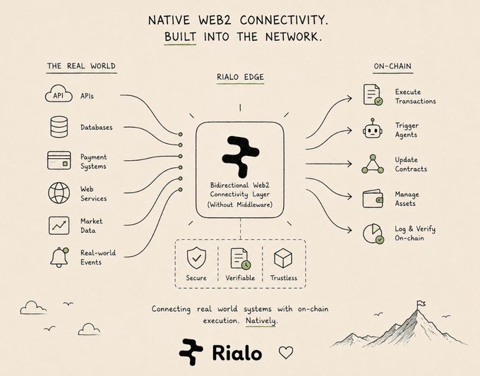 A hand-drawn style diagram for 'Rialo' titled 'NATIVE WEB2 CONNECTIVITY. BUILT INTO THE NETWORK', illustrating a bidirectional Web2 connectivity layer linking real-world systems like APIs and databases to on-chain actions like executing transactions and triggering agents.