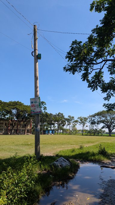 An outdoor photograph of a utility pole with power lines in a grassy field, with a large tree on the right and a small stream or puddle in the foreground under a clear blue sky.