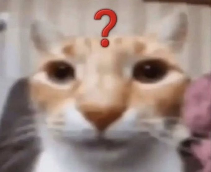 A close-up of a confused-looking cat with a red question mark above its head, perfectly capturing the puzzlement of deciding which crypto Twitter meta to eliminate or revive. The image's bewildered expression mirrors the indecision the post invites.