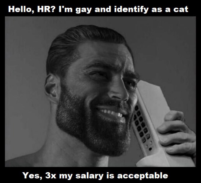 A black and white meme featuring a bearded man smiling on a phone with text reading 'Hello, HR? I'm gay and identify as a cat' at the top and 'Yes, 3x my salary is acceptable' at the bottom.