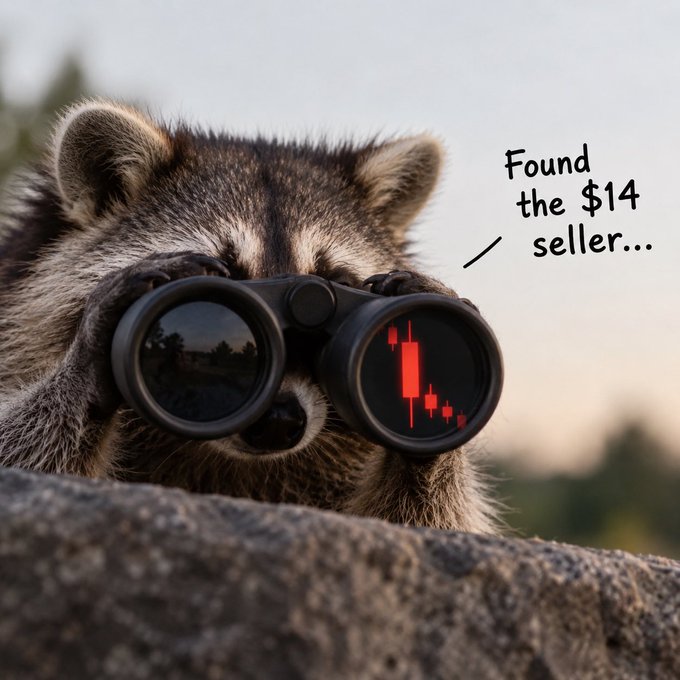 A raccoon peering through binoculars, with the reflection showing a bearish red candlestick chart and the caption 'Found the $14 seller...'