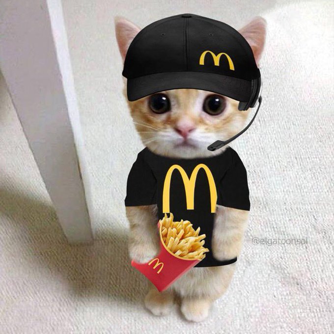 An adorable orange tabby kitten dressed in McDonald's uniform, wearing a black cap with the iconic golden arches, headset, and branded t-shirt, while holding a box of fries — perfectly matching the post's tongue-in-cheek threat to ditch crypto for a job at McDonald's if not let in. The watermark reads "@elgatoonspl."