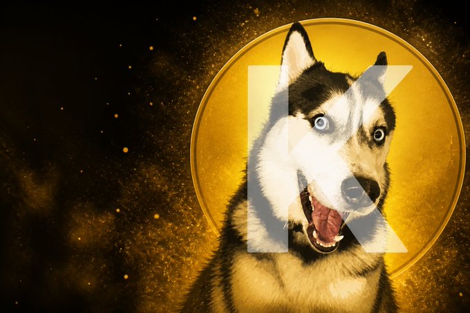 A promotional image featuring a smiling husky dog with a 'K' overlaid on a golden circular background with a starry black backdrop.