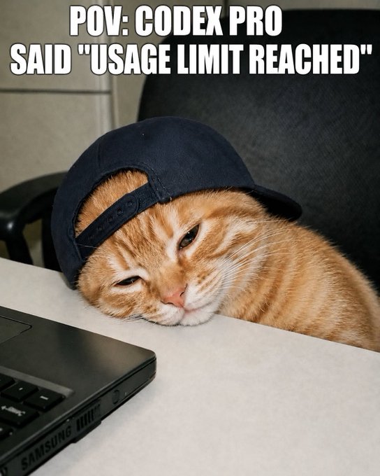 A meme showing an orange cat wearing a backwards cap resting its head on a desk next to a Samsung laptop, with text reading 'POV: CODEX PRO SAID "USAGE LIMIT REACHED"'.