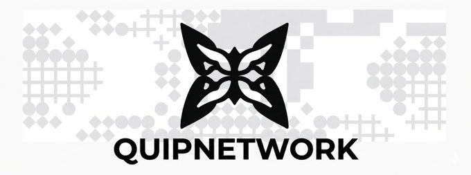 The QuipNetwork logo is shown in black against a white background with subtle gray grid and dot patterns.
