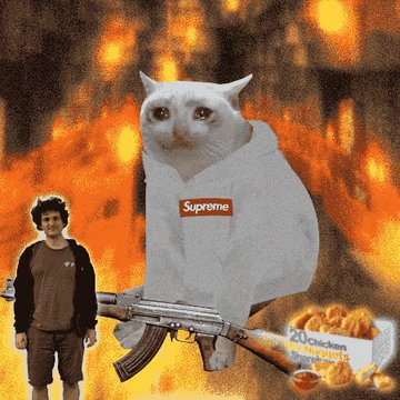 A chaotic meme-style digital collage featuring a White cat in a Supreme hoodie holding a rifle, alongside a figure of Jack Black and '20 Chicken McNuggets' against a fiery orange background.