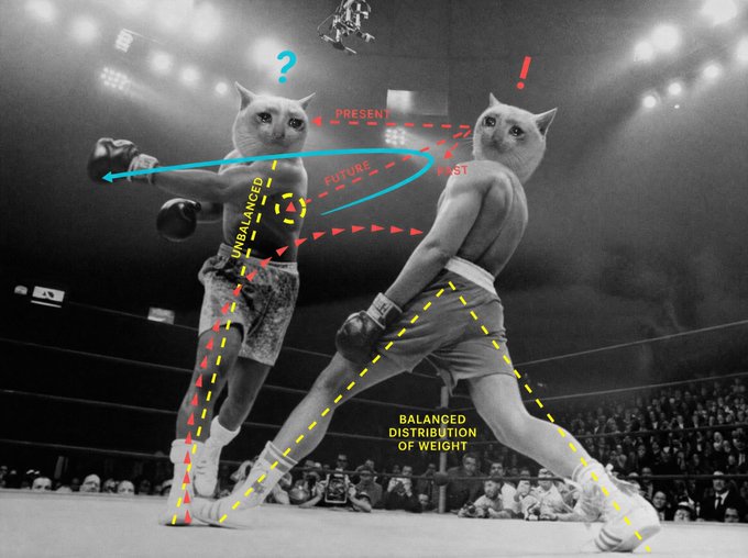 A black-and-white image shows two cats photoshopped onto boxers' bodies in a boxing ring, with annotations such as "PRESENT," "FUTURE," "PAST," "BALANCED DISTRIBUTION OF WEIGHT," and "UNBALANCED," along with arrows and dashed lines illustrating their stances and movements.