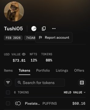 A screenshot of a crypto portfolio interface shows the username 'Tushi05' with a value of '$73.81', holding '6 TOKENS' including 'Pixelate...' and 'PUFFINS' at '$60.16'.