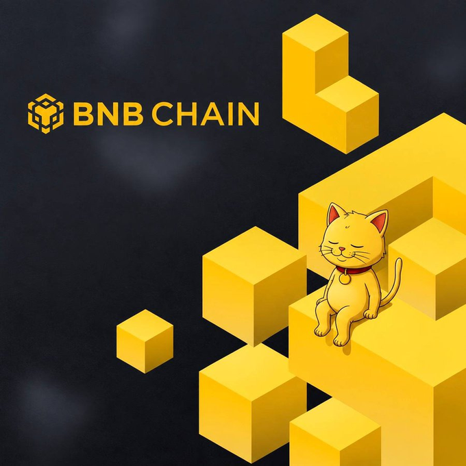 A promotional graphic for BNB CHAIN featuring a cartoon cat wearing a BNB collar sitting on yellow geometric blocks against a black background.