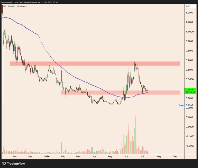 A TradingView daily chart of $WLD/USDT on Binance showing a strong downtrend from ~$1.20 to a recent low of $0.2267, with the 100-period moving average (purple) now acting as support around the $0.38-$0.40 zone, which aligns with the post's claim that $WLD looks bullish as long as it holds above the daily MA100.