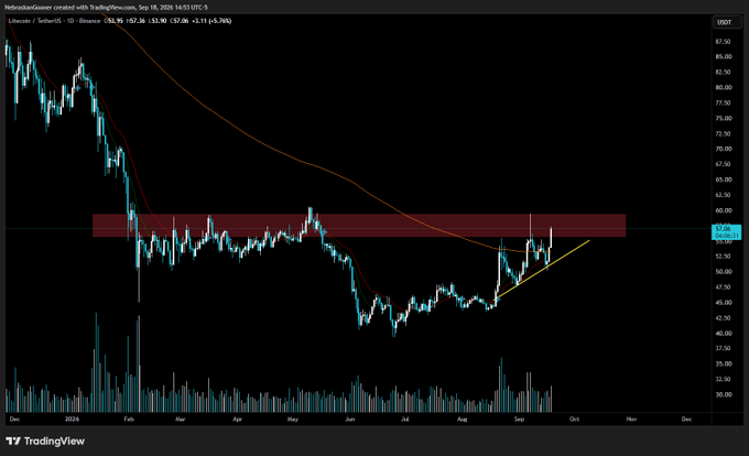 A TradingView chart of Litecoin (LTCUSD) on Binance shows the price forming a basing pattern with an ascending trendline (yellow) pushing toward a key resistance zone (red band) around $57-$60, near the 50-day moving average (red line) at $57.36, supporting the post's observation of a potential basing breakout.