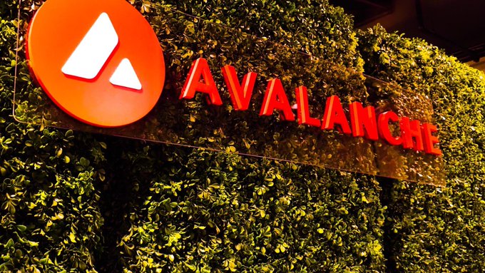 The image shows a large red Avalanche logo and lettering mounted on a lush green hedge wall, representing the blockchain network that POSCO uses to tokenize trade receivables through AI-verified digital assets.