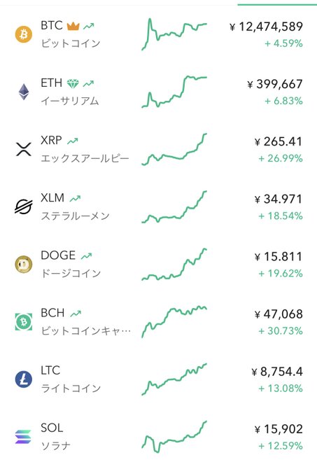 A cryptocurrency price tracker displaying Japanese labels shows major coins all trading significantly higher in the past 24 hours, with Bitcoin Cash leading at +30.73%, XRP up +26.99%, and DOGE gaining +19.62%, while Bitcoin (BTC) at ¥12,474,589 and Ethereum (ETH) at ¥399,667 rose +4.59% and +6.83% respectively. The image illustrates the broader crypto rally, suggesting that skeptics dismissing cryptocurrencies may miss out on gains like these across all listed assets.
