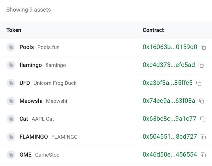 A screenshot showing 9 cryptocurrency assets with their names and contract addresses, including Pools, flamingo, UFD (Unicorn Frog Duck), Meowshi, Cat (AAPL Cat), FLAMINGO (FLAMING0), and GME (GameStop).