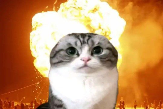 A shocked-looking tabby and white cat superimposed in front of a massive fiery explosion.