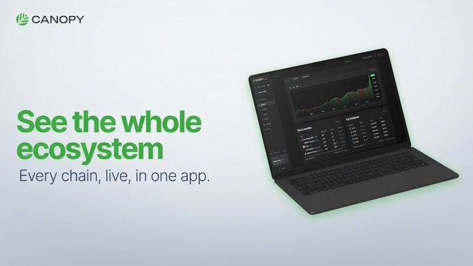 A promotional image for the Canopy platform featuring a laptop displaying an analytics dashboard with charts and data tables, alongside the text "See the whole ecosystem — Every chain, live, in one app." This visually reinforces the post's point by showcasing a unified multi-chain analytics tool that could eliminate the need for teams to build separate blockchain infrastructure from scratch.