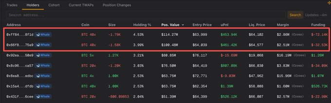 Trading dashboard titled 'Holders' showing whale addresses for BTC 40x long positions, with two top rows highlighted in red: 0xf784...8f1d holding $114.27M (-$72.12K) and 0x66f8...75a9 holding $100.40M (-$32.52K).