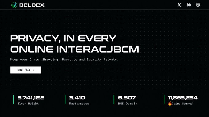 A website landing page for BELDEX displaying the headline 'PRIVACY, IN EVERY ONLINE INTERACTJBCM' with a 'Use BDX →' button and statistics including '5,741,122 Block Height', '3,410 Masternodes', '6,507 BNS Domain', and '11,865,234 🔥 Coins Burned'.