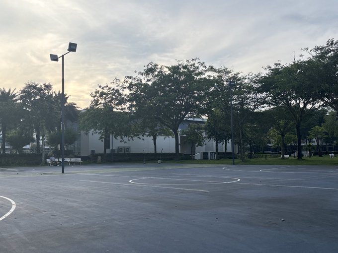 The image shows a large empty basketball court with no one playing or practicing at the moment. The court has a white surface, which contrasts nicely with its surroundings. In the background, there are trees that add some greenery to the scene. A person is visible in the distance near the center of the image, but they do not appear to be actively participating in any basketball-related activities.