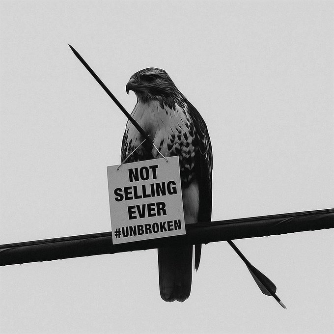 Black and white photograph of a hawk perched on a cable holding a sign that reads 'NOT SELLING EVER #UNBROKEN'.