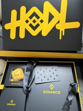 A promotional Binance gift box containing a small bear plush and a credit card is displayed with bold yellow 'HOOL' graffiti-style text above.
