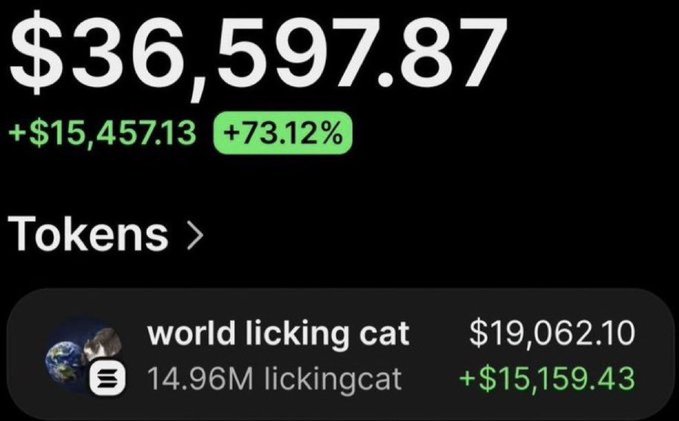 A cryptocurrency portfolio screenshot shows a total balance of $36,597.87 with a gain of +$15,457.13 (+73.12%), highlighting a holding called "world licking cat" (ticker: lickingcat) worth $19,062.10 with a +$15,159.43 profit. The image visually supports the post's claim of a massive return on a small initial investment, with the large green profit figures illustrating the post's boast of turning a small amount into over $36,000.