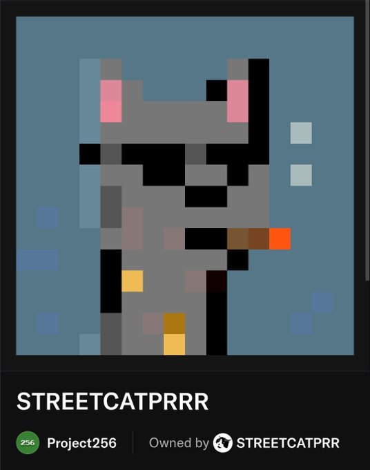 A pixel art image displays a gray cat with pink ears and a brown object in its mouth, labeled 'STREETCATPRRR', 'Project256', and 'Owned by STREETCATPRRR'.