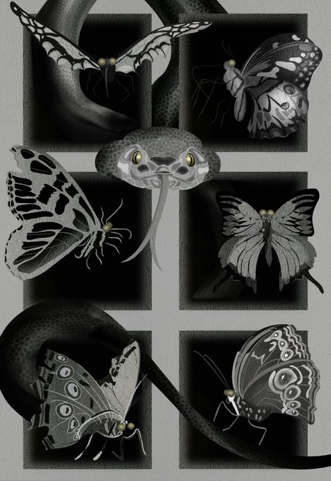 A black and white illustrated composition featuring a central snake head with yellow eyes surrounded by a snake's body and five detailed butterflies arranged in rectangular frames.