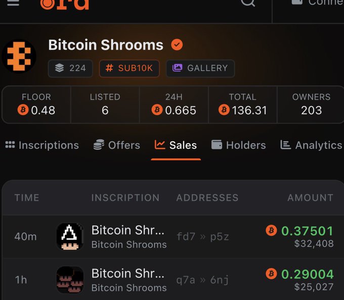 A screenshot of the "Bitcoin Shrooms" NFT collection page on what appears to be a marketplace, showing a floor price of 0.48 BTC, 24H volume of 0.665 BTC, and total volume of 136.31 BTC across 203 owners, with recent sales listed at 0.37501 BTC and 0.29004 BTC. The image visually supports the poster's optimistic outlook by displaying the collection's current modest 0.48 BTC floor price, highlighting the significant gap between where it stands now and their ambitious 10 BTC price target.